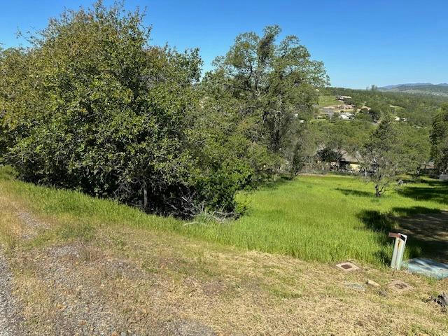 2965 BOW DR, COPPEROPOLIS, CA 95228, photo 1 of 7