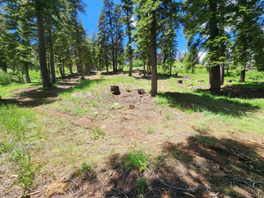 332 SNOWSHOE RD, BEAR VALLEY, CA 95223 - Image 1