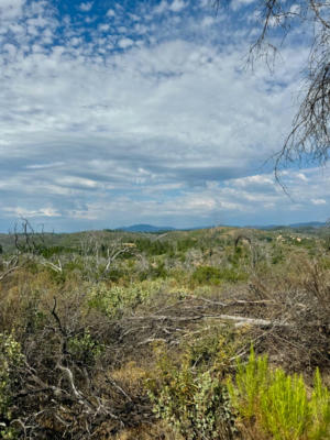 9741 WENDELL RD, MOUNTAIN RANCH, CA 95246 - Image 1