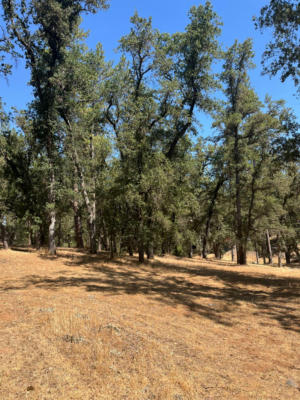 5578 RAILROAD FLAT RD # 5489, MOUNTAIN RANCH, CA 95246 - Image 1