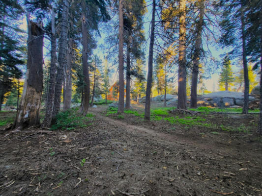 106 FREMONT RD, BEAR VALLEY, CA 95223 - Image 1